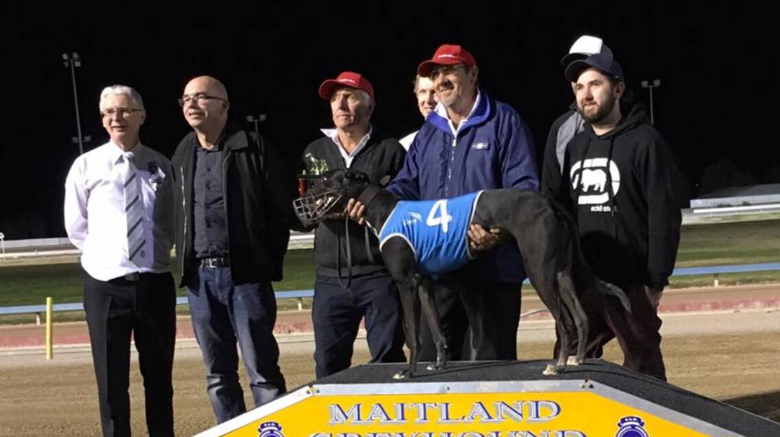 Top dog: Maitland Greyhound Club manager Tony Edmunds and East Maitland TAB owner Ian Maxwell present the City Hotels Challenge Final trophy to Aberdeen trainer John Lawson and Sharnie.