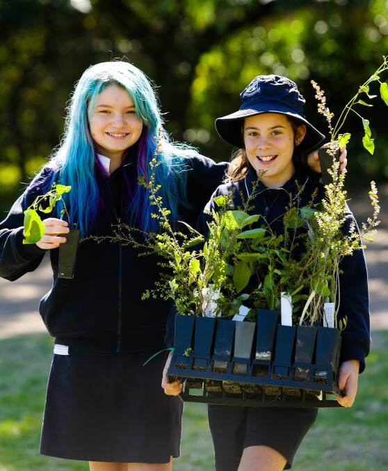 Tree time: East Maitland Public School students Imogen de Vries and Scarlet Edwards will be among the hundreds of Hunter students joining the cause on Friday's Schools Tree Day. Photo: Jonathan Carroll. 