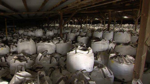  Bagged: Waste glass from NSW in mass storage in a shed in Victoria. Picture: ABC