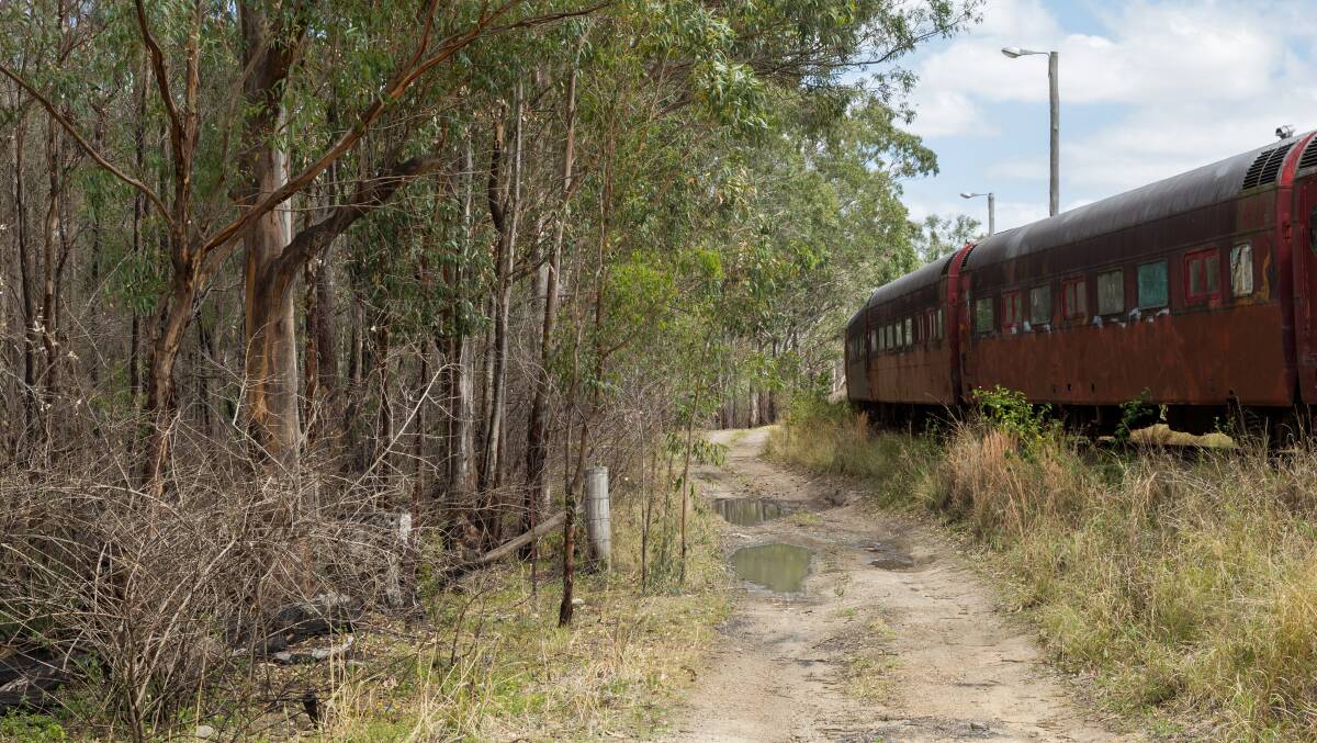 Concerns: Burnt trees from several months ago show how close fires have come to historic train carriages. 