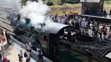 Thousands turn out to celebrate steam heritage at Maitland