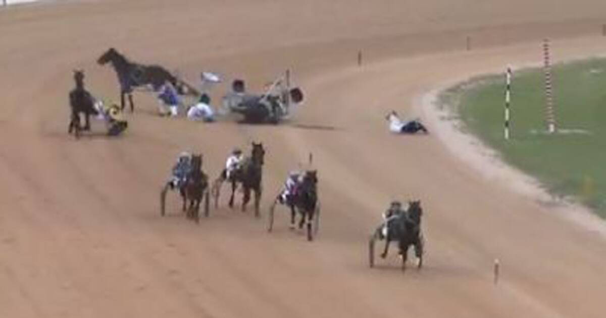 CRASH: Brad Elder (centre back in blue silks) during Tuesday's race fall at Newcastle which left him with a broken nose and grazed face. Picture: Harness Racing NSW.