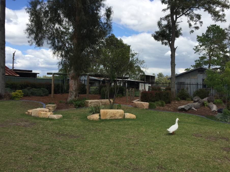 PLAY: The outdoor OOSH area at Tillys Bolwarra Centre offers some great space for the children to play and explore and includes resident duck, George.