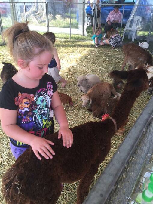 Animal nursery: Kids can get in amongst the animals at this years Maitland Show animal nursery
