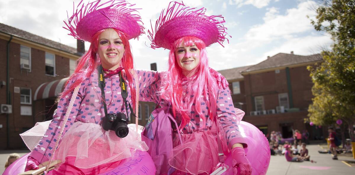 PRETTY IN PINK: Maitland High students Chloe and Taylor Reiher dress as 'pink lifesavers' to help take a stand against bullying. Picture: Perry Duffin