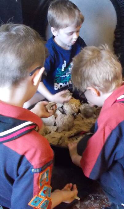 DIG IT: East Maitland Joey Scouts digging up some fossils at Brough House. The school holiday activity introduces children to fossils and palaeontology.