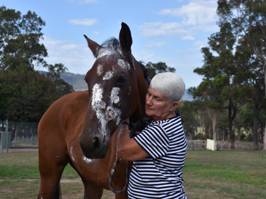CLOSE CALL: George the horse with owner Pam Walterback, who is relieved to see him on the road to recovery