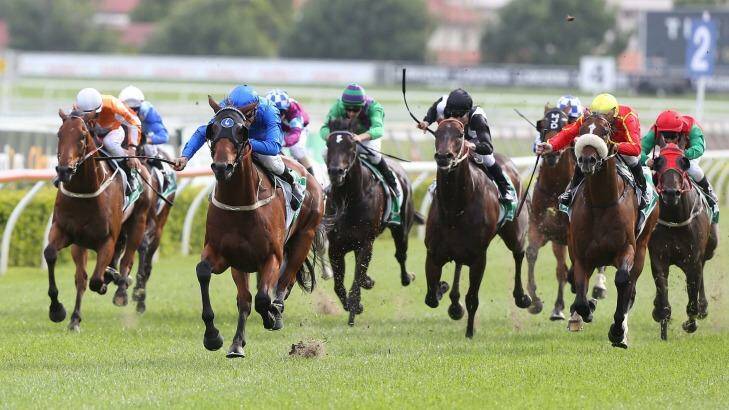 Watch out for the clods: Blake Shinn drives Medcaut home at Randwick on Saturday. Photo: Anthony Johnson