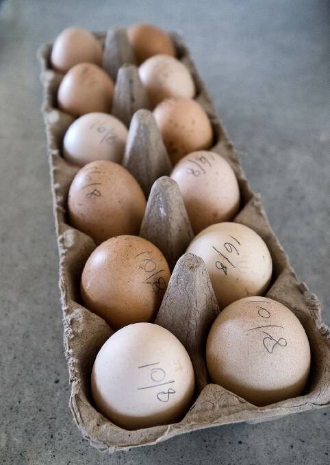 The staples: fresh eggs from Bakker's chickens. Photo: Luis Ascui