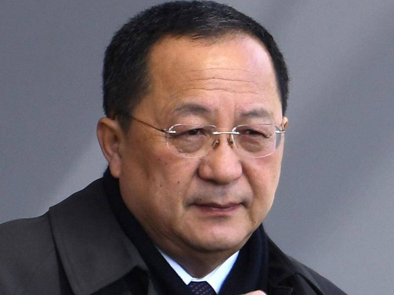 North Korean Foreign Minister Ri Yong Ho is on his way to Sweden for talks with Margot Wallstrom.