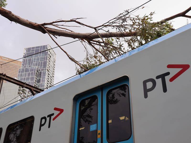 Wild winds raging at over 100km/h have brought down trees and power lines, causing train delays.