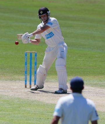 Adam Voges starred with the bat this summer. Photo: Peter Stoop