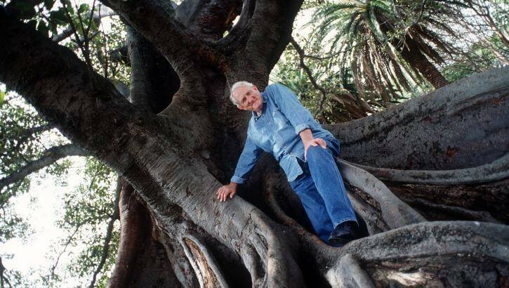 Tom Uren in a park in Balmain, where he loved to walk along the foreshore and streets. Photo: Belinda Pratten