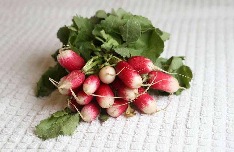 The staples: radishes, for dipping in miso-flavoured butter or salt. Photo: Patrick Scala/Getty Images