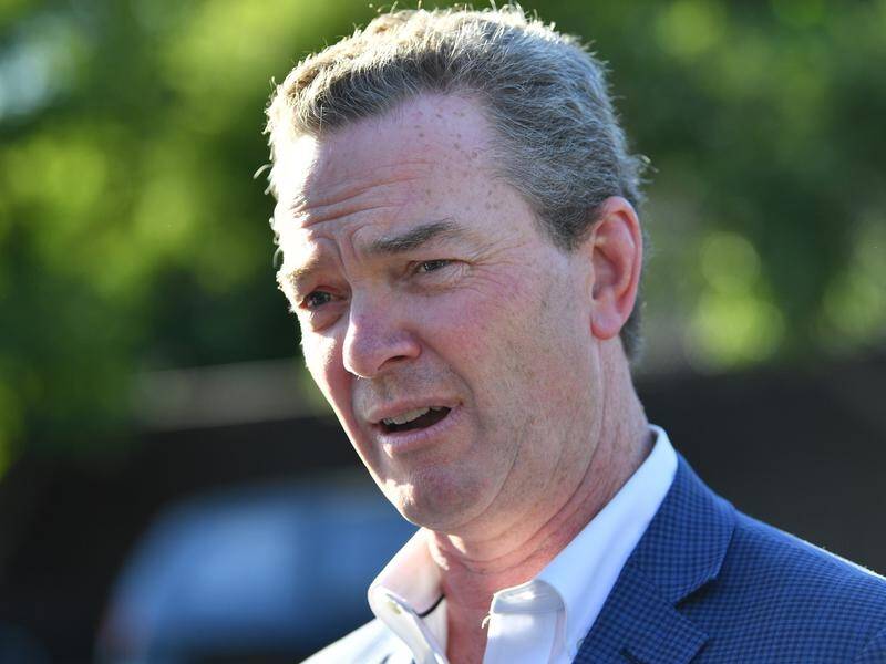 Christopher Pyne has responded to Tony Abbott's criticism of the investigation into MH17.