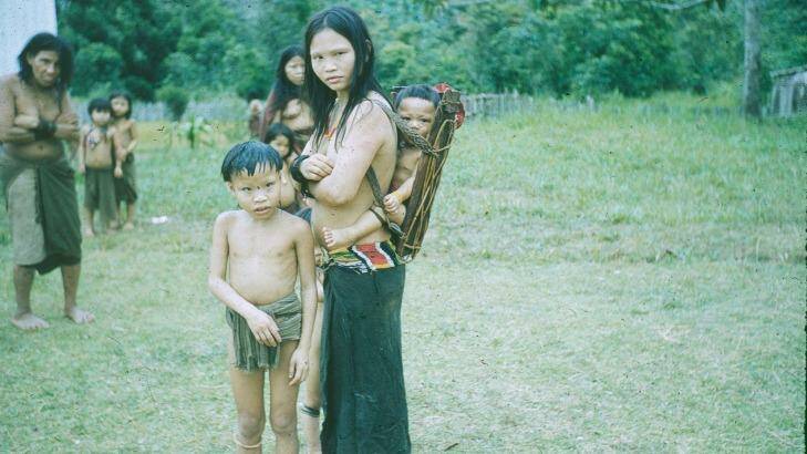Stewards of Sarawak: The Penan have survived British and Malaysian invasion of their forests. Photo: Phyllis Webster