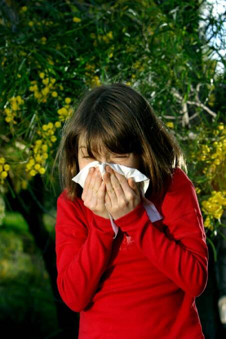 Photograph taken to illustrate the effects of pollen on asthma and allergies. Photograph taken in Glebe, Sydney on 31 August 2003, using a child model. SMH HEALTH Picture by Marco Del Grande SPECIALX 13884 Photo: Marco Del Grande