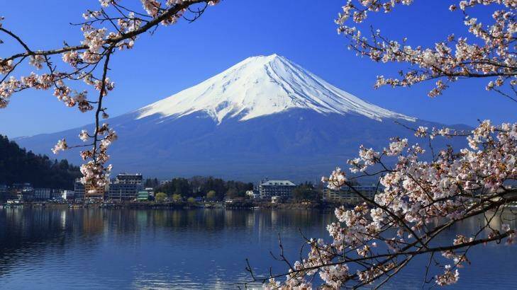 Iconic: Mount Fuji in spring. Photo: Prasit Chansareekorn