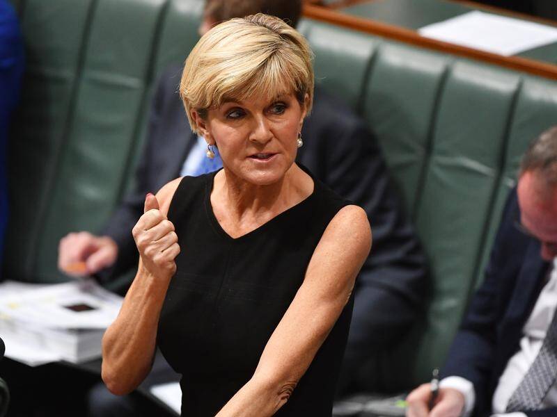 Deputy Liberal leader Julie Bishop has backed Malcolm Turnbull's ministerial sex ban (File).