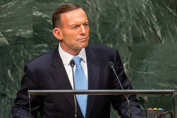 Prime Minister of Australia Tony Abbott speaks at the 69th United Nations General Assembly on September 25, 2014 in New York City. Photo: Andrew Burton/AFP