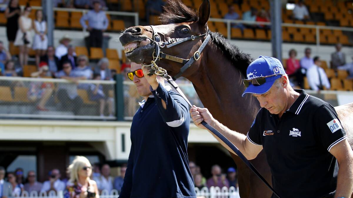 Protectionist returns to Broadmeadow for a trial run today.