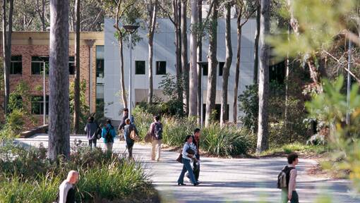 Maitland could benefit from a push by Hunter tertiary institutes to attract more international students.