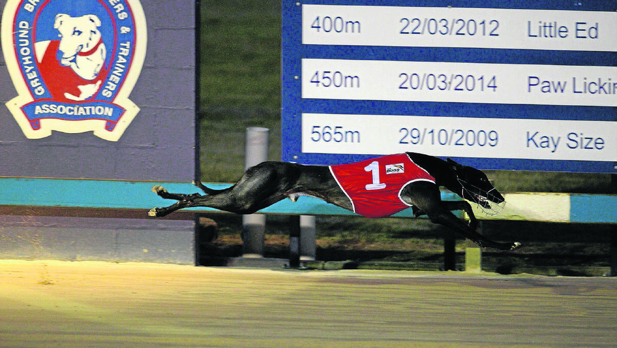 Magic All Over won the first heat of the Telarah Remember When series at Maitland Showground last Thursday night.