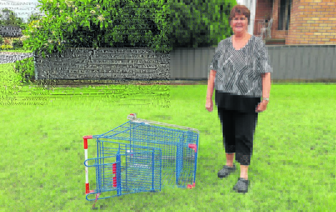 Mary Wood of Queensland and an abandoned trolley in Rutherford.