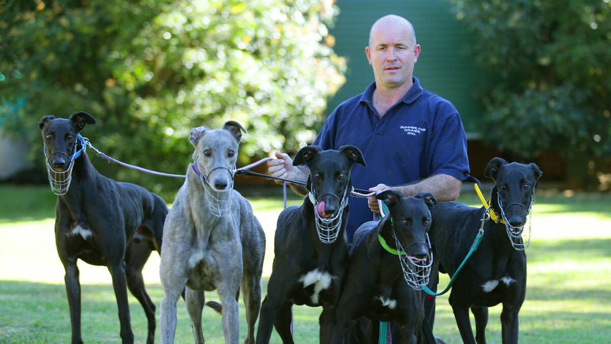 Jason Mackay's greyhounds Zipping Carter and Zipping Midge have qualified for the National Derby and National Futurity finals respectively.