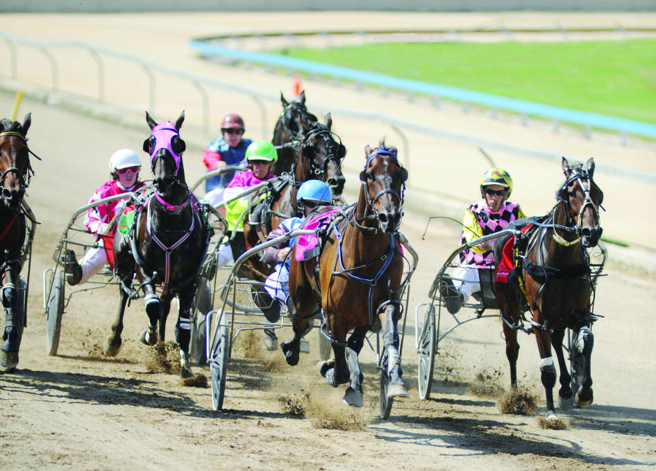 A strong field has been assembled for Newcastle's Anzac Day meeting.