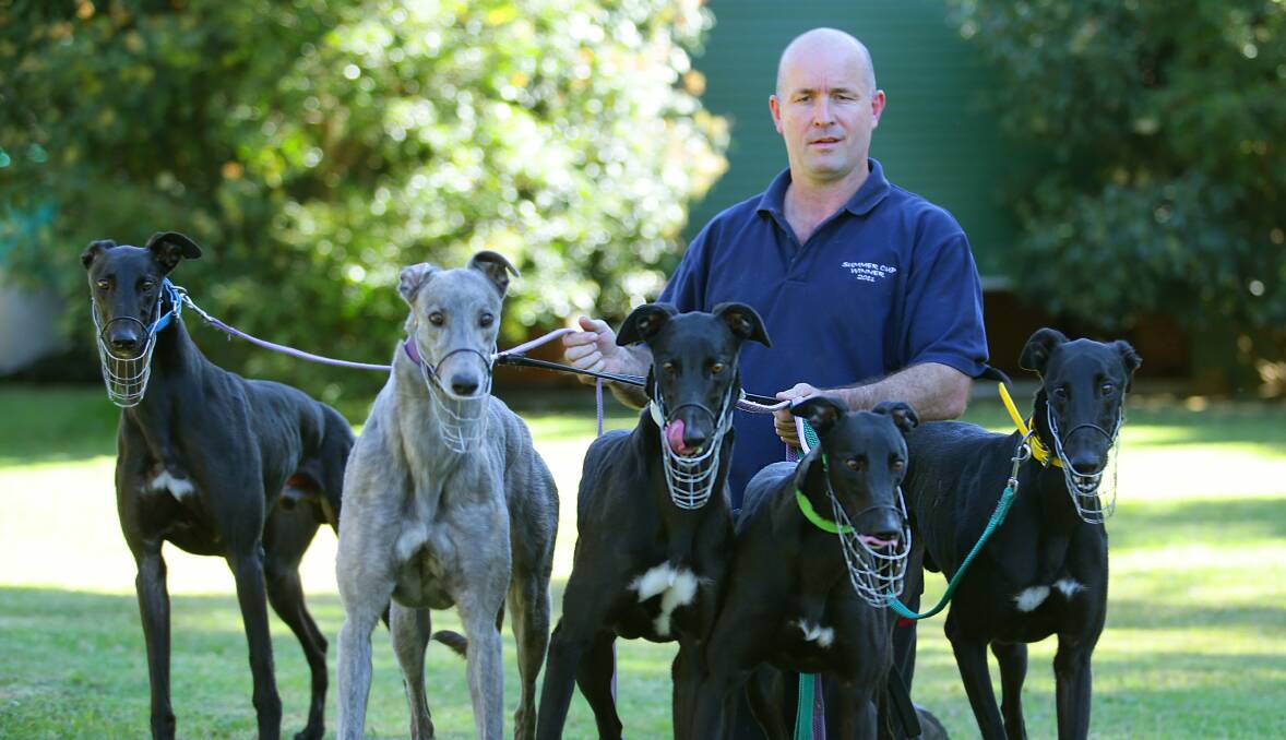 BUSY EASTER:  Jason Mackay has runners at Maitland and Wentworth Park.