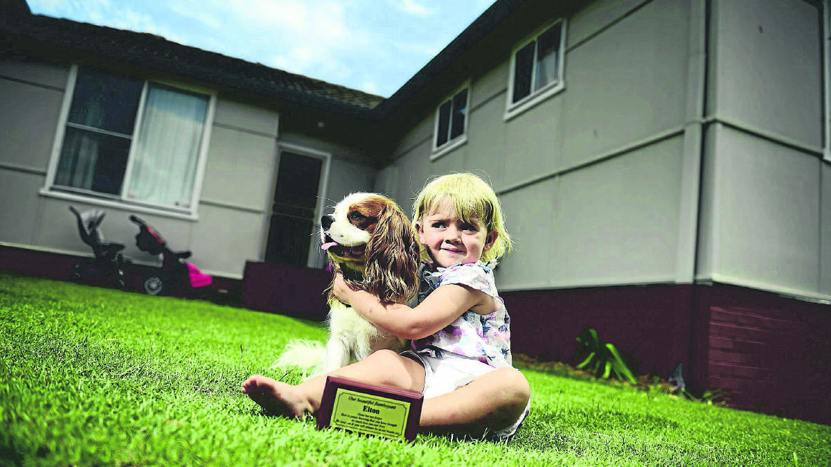 WITNESS: Sabrina Ferguson with her dog Chester and the ashes of Elton. 	Picture by PERRY DUFFIN