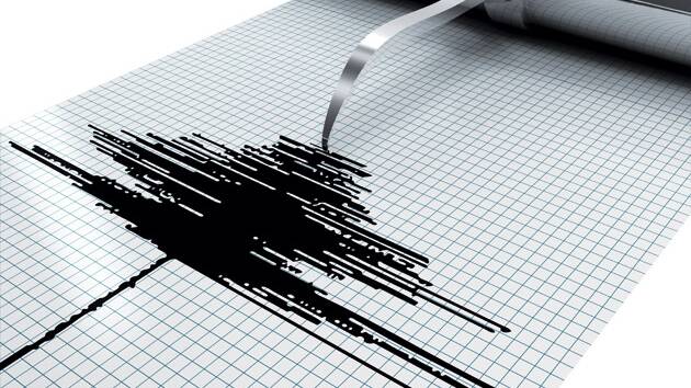Two minor earthquakes in the Cessnock Shire in January recorded 2.5 and 2.45 on the Richter scale.