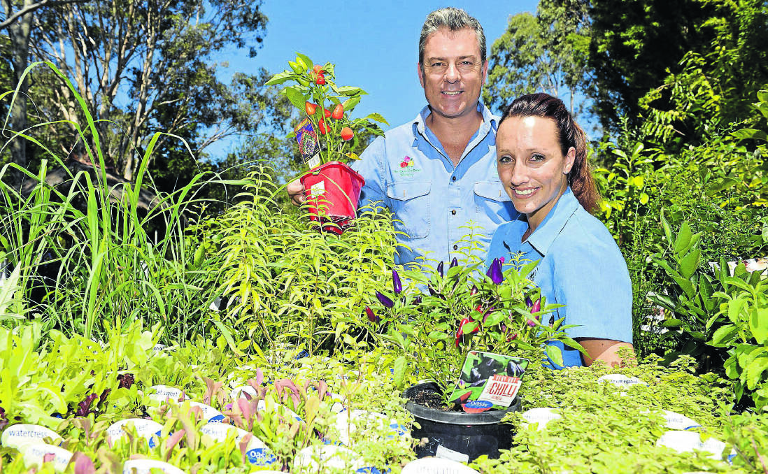TIPS:  Heritage Gardens owners Dwayne and Olivia Bramble will help with information on growing your own vegetables. 