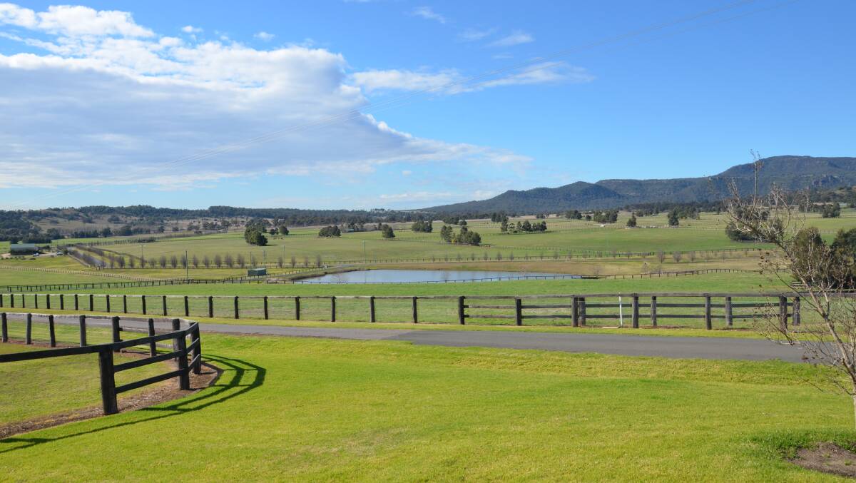 Coolmore stud at Jerry Plains