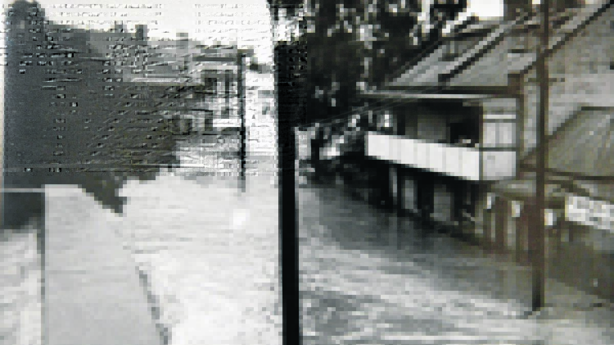 Singleton Flood 1955