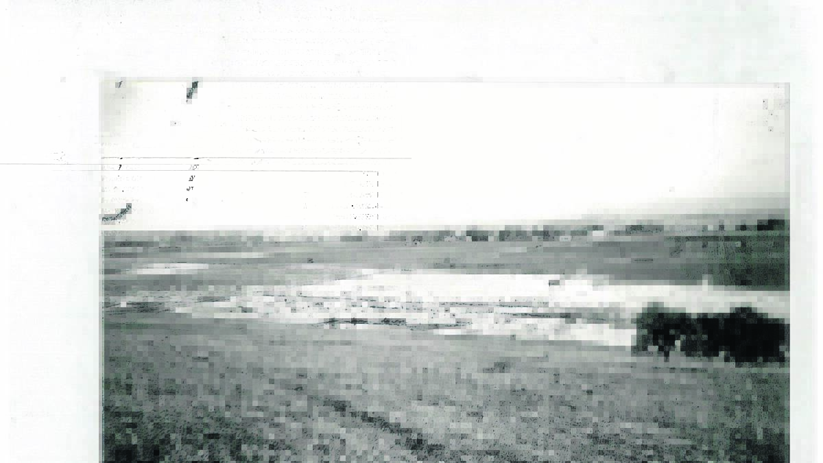 Farmland near Singleton flooded in 1955
