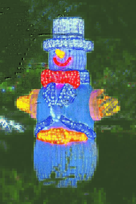 MAGICAL:  Part of the Christmas Lights Spectacular at Hunter Valley Gardens.  	