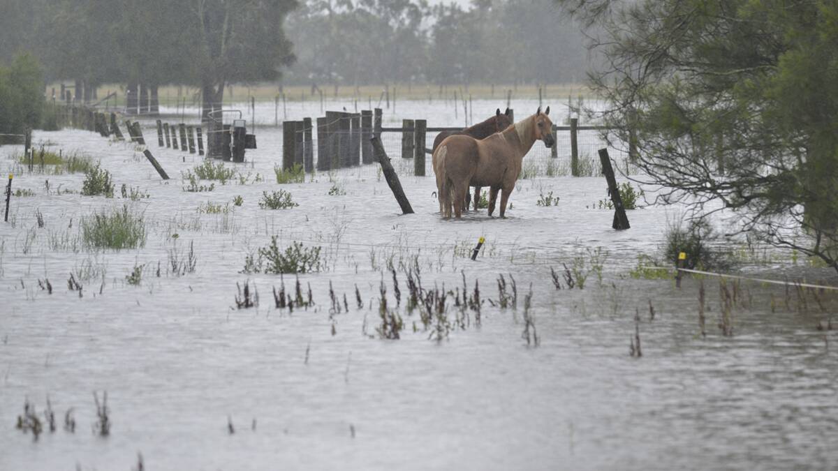 January rain record smashed as region battles floodwater | PHOTOS, POLL, VIDEO