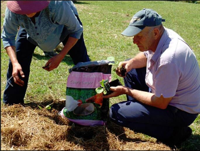 COMMUNITY SPIRIT: A community garden in the making in the grounds of the Adventist Church in Gillieston Heights.