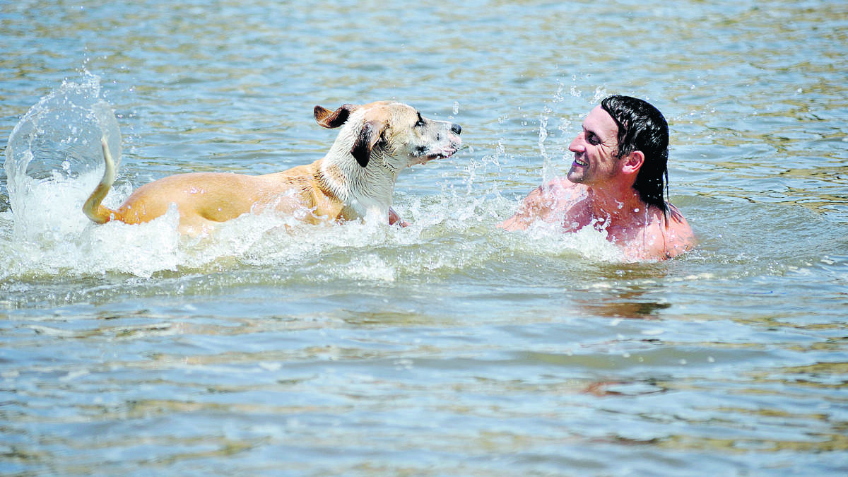 SMART MOVE:  As the temperature raced towards 43 degrees yesterday, Aaron Phillips and his dog Marley sought refuge in the cooling waters of the Hunter River.	
	Picture by CATH BOWEN