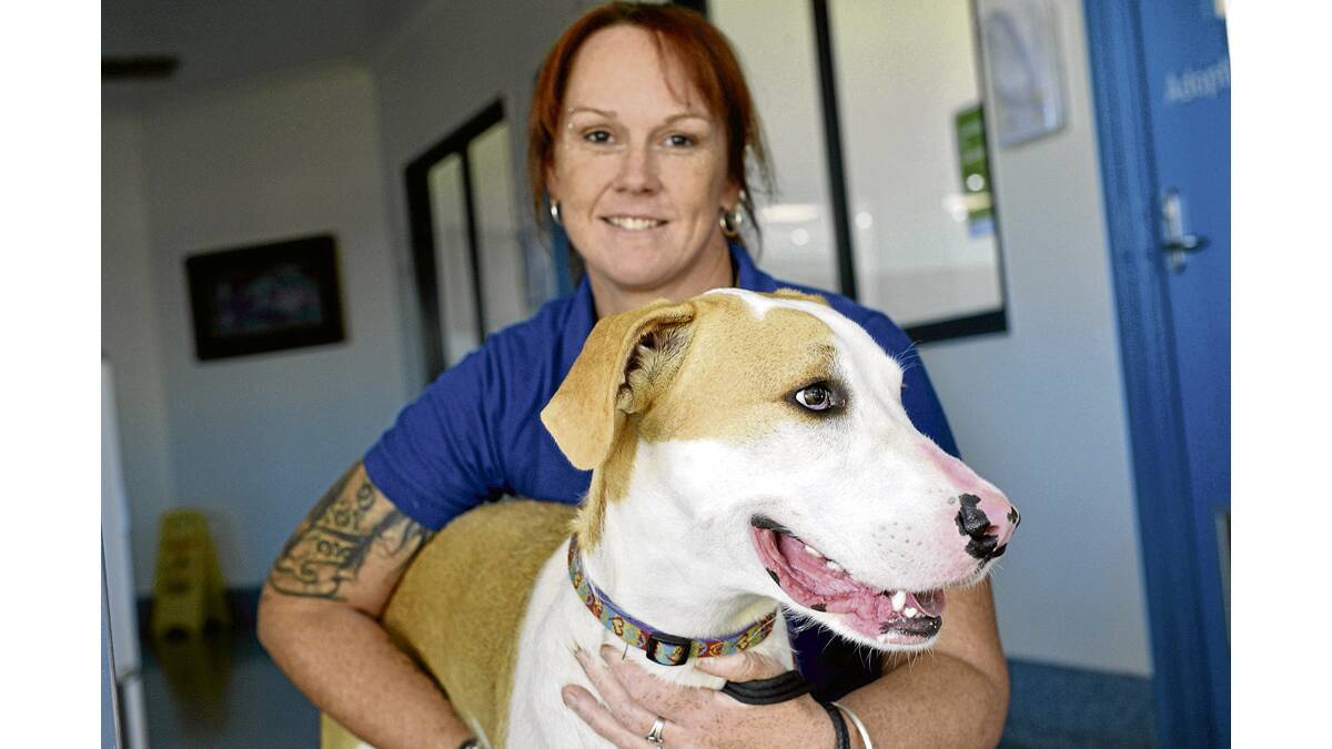 PICTURE OF HEALTH:  Lucky with Rutherford shelter manager Sharon Wynne. 	Picture by STUART SCOTT