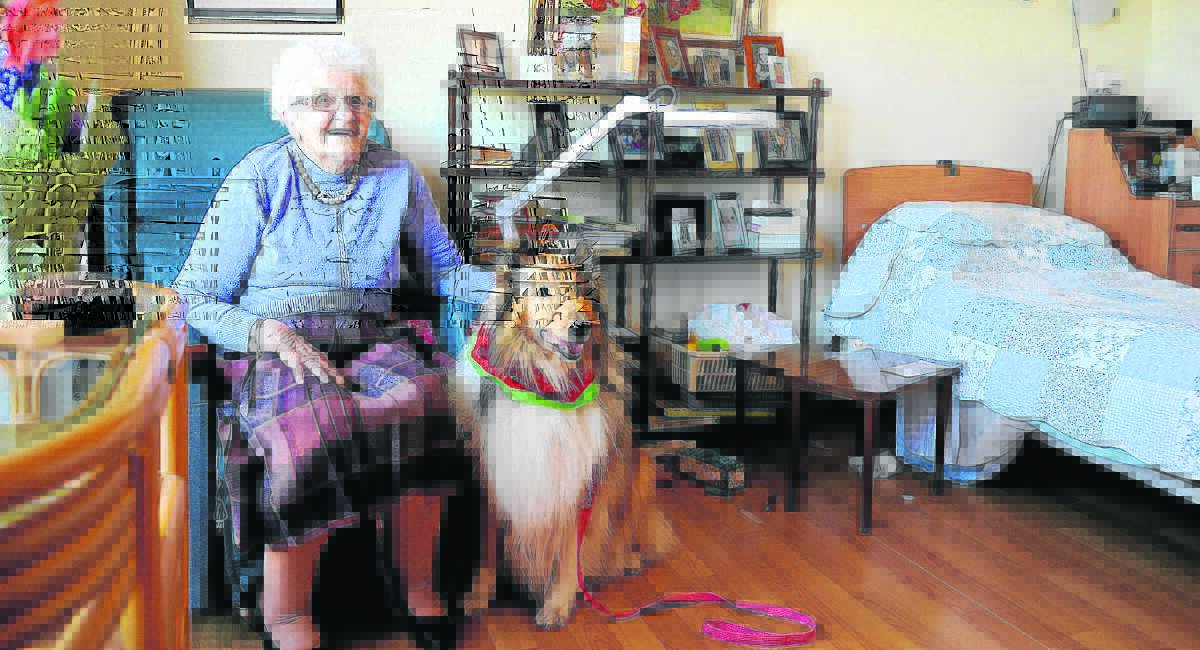 COMPANION DOG:  Mary Dunlop with regular visitor Gypsy.  
