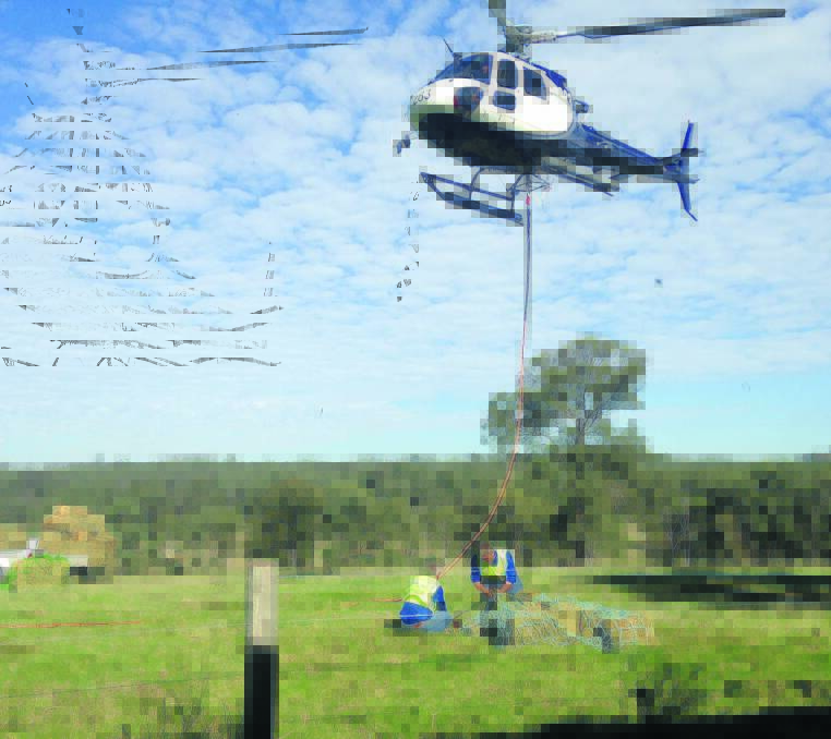FODDER DROP:  Hunter Local Land Services drops fodder to flood-stricken livestock and has delivered about 14 tonnes of hay since the super storm caused widespread flooding.