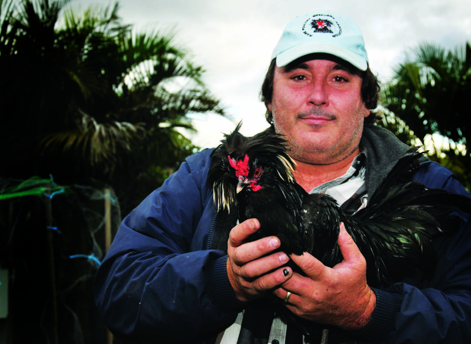 SHOW BIRDS:  Sean Tydeman enjoys the individual personalities of his rare breeds of poultry.