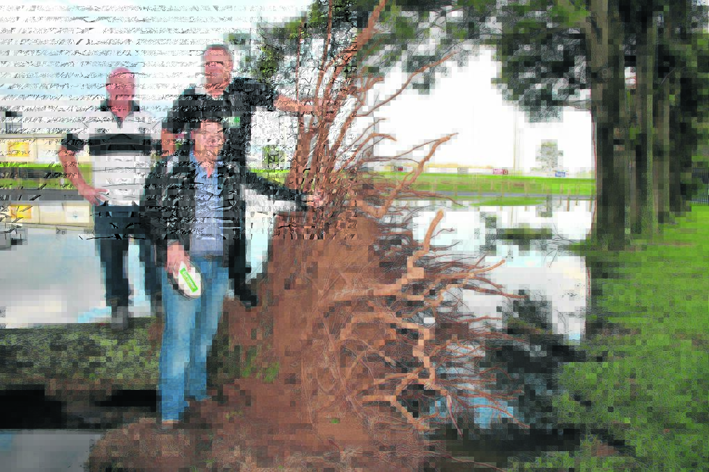 BIG PRIZE: Maitland Rugby Club trio Scott Freeman, Dan Gollan and Pat Howard survey the storm damage at Marcellin Park. 	Picture by JOSH CALLINAN