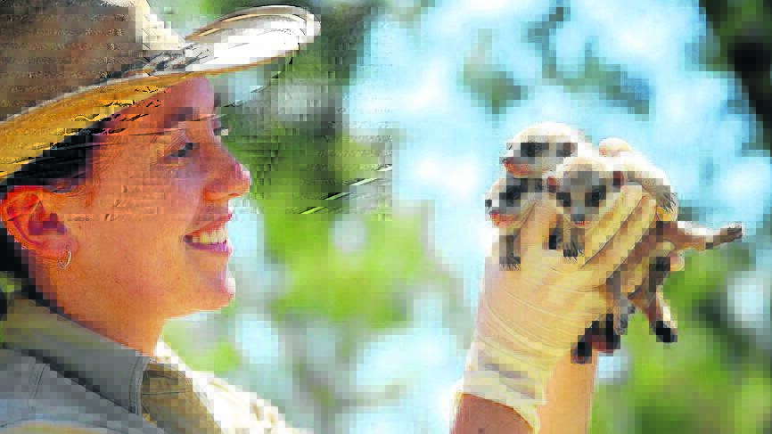 POPULAR: Hunter Valley Zoo at Nulkaba is a hit with visitors to the Cessnock area.