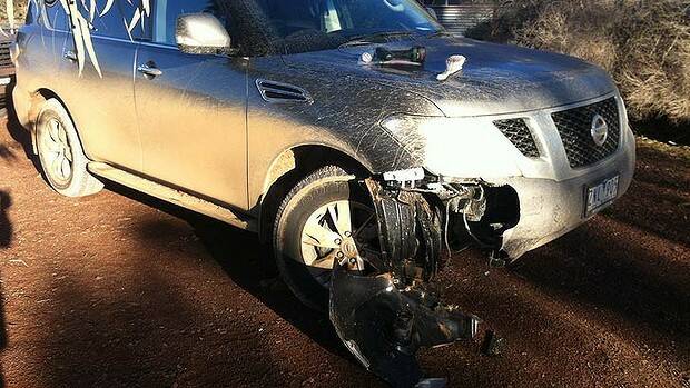 NOT ROAD SAVVY: Smash repairers are being kept busy with more kangaroos on Hunter roads.
