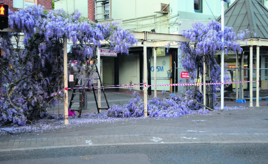 GONE: One minutes there were 14 wisteria trees in the Heritage Mall. Not long after, there were none.
