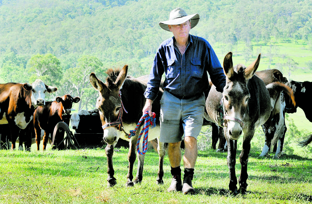 GUARD DONKEYS:  George Dick with his guard donkeys Zac and Raffles.  